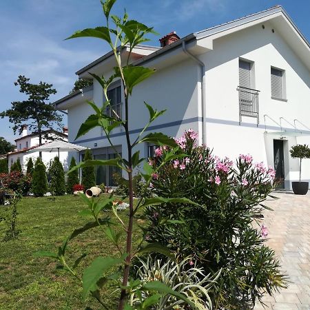 Apartament Apartma Majda Sežana Zewnętrze zdjęcie