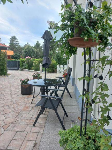 Apartament Apartma Majda Sežana Zewnętrze zdjęcie
